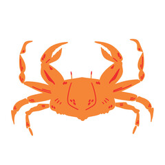 Red crab illustration isolated on white background.