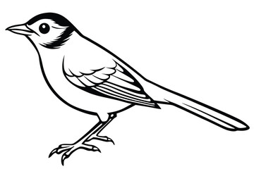 Graphic Illustration of a Songbird with Black Cap and Detailed Wing Markings