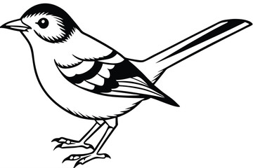 Elegant Monochrome Bird Illustration Detailed Outline of a Small Bird with Delicate Features