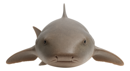Nurse shark with a broad, flat head and small, rounded fins