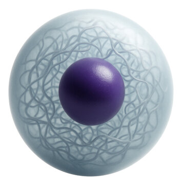 Cell nucleus showing prominent nucleolus and dispersed chromatin threads