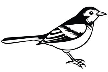 Elegant Black and White Bird Illustration Detailed Feather Design and Sharp Lines