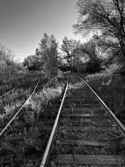 An abandoned place in the middle of the city