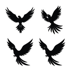 Fototapeta premium silhouette parrots Bundile