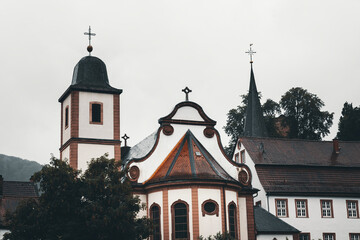 Misty Rainy Day by the River in Neckarsteinach