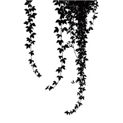 Tropical Leaves and Botanical Bouquets Silhouettes Vector Collection