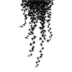 Tropical Leaves and Botanical Bouquets Silhouettes Vector Collection