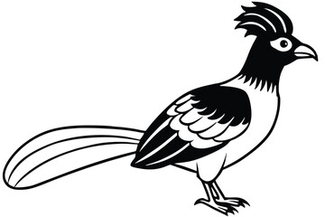 Stylized Black and White Cartoon Illustration of Roadrunner with Crest and Long Tail