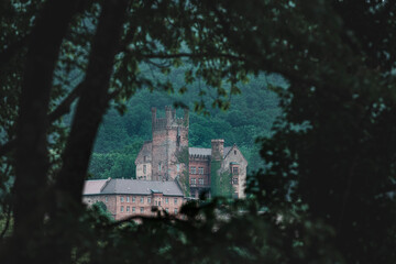 Fototapeta premium castle in the woods