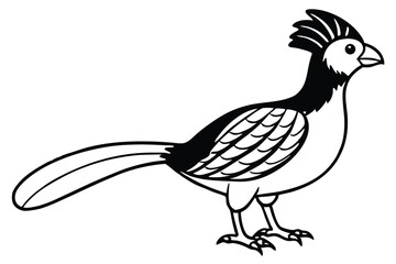 Simple Black and White Drawing of a QuailLike Bird Cartoon Vector Graphic