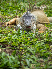 ホーチミンのサイゴン動植物園