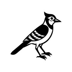 Obraz premium Blue jay clipart on a white background vector illustration
