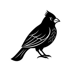 Fototapeta premium Cardinal bird clipart on a white background vector illustration