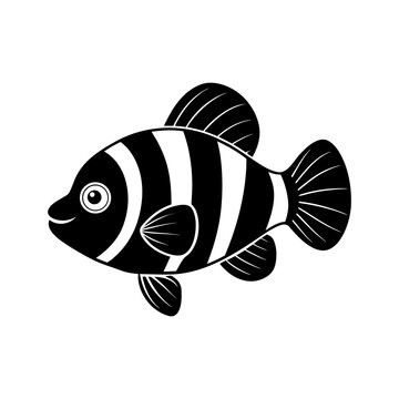 Clownfish clipart on a white background vector illustration