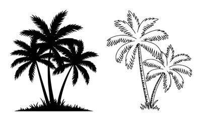 Black silhouette and line art palm trees on white background vector