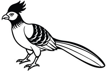 Bold Black and White Cartoon Illustration of a Crested Bird with Long Tail