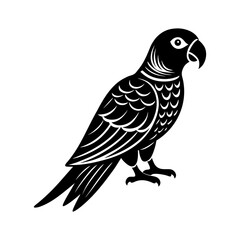 Obraz premium Parrot clipart on a white background vector illustration