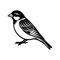 Sparrow clipart on a white background vector illustration