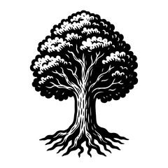 Black and white vector illustration of a tree with a large leafy crown and bare roots. Stylized, ink drawing in vintage engraving style