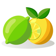 Lime and Lemon Fruit Illustration