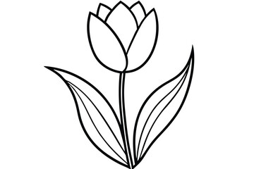 Simple Tulip Flower Outline with Leaves and Stem for Coloring or Drawing