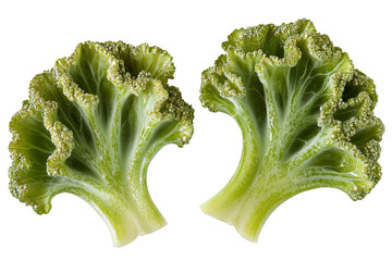 Vibrant Green Romanesco Broccoli Florets: Isolated on Transparent PNG