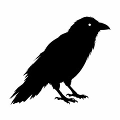 Obraz premium Majestic Raven Silhouette A Striking Black and White Bird Illustration