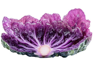 Obraz premium A purple cabbage with a white stem