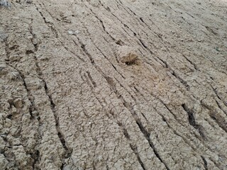texture of the ground