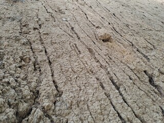 texture of the ground