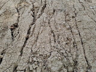 texture of the ground