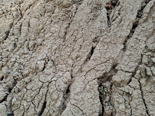 texture of the ground