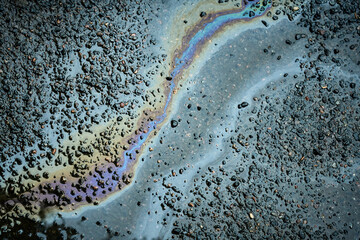 Gasoline or oil spill creating rainbow sheen on asphalt road surface