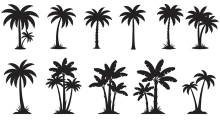 Fototapeta premium Collection of diverse black palm tree silhouettes isolated on a white background, representing tropical nature and summer.