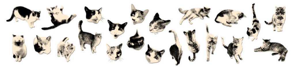 Various cats halftone art collage cut outs set. Paper clipping shapes collection, stickers with vintage dotted texture. Modern retro grunge mixed media vector illustration on transparent background