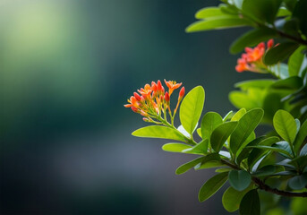 A vibrant close-up of a flowering plant branch