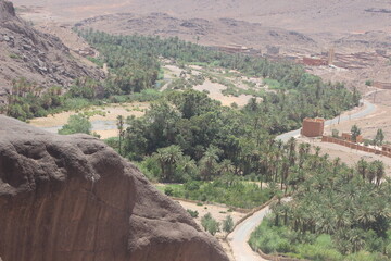 Fint Oasis in Ouarzazate Morocco, Finnt Oasis