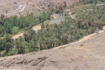 Fint Oasis in Ouarzazate Morocco, Finnt Oasis