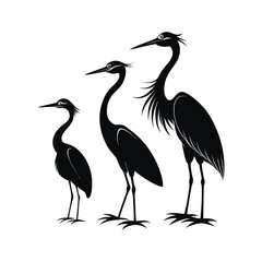 Fototapeta premium Silhouetted Herons in Natural Poses