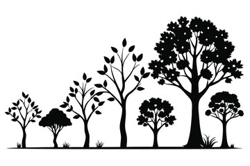 Fototapeta premium Silhouetted Trees Variety Vector Graphics of Deciduous Trees with Varied Shapes and Foliage