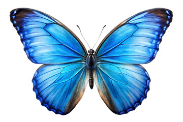 Fototapeta premium butterfly isolated on white background, png,ai generated.