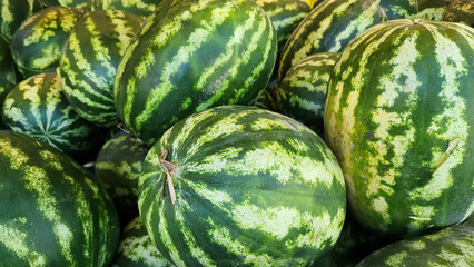 Fresh fruits and vegetables placed on cases and stands in the grocery section
