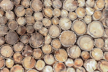 Wooden panel