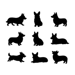 Set of silhouettes of dogs of different breeds. Vector isolated on background EPS 10.