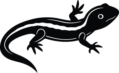 newt on white background.eps