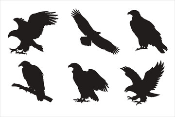 A Set of Eagle Silhouette 