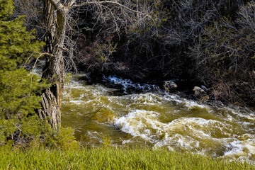 Traveling through the Sangre de Cristo Mountains between Las Vegas and Taos, New Mexico, flowing rivers, snow capped mountains, pine trees, beautiful scenery.