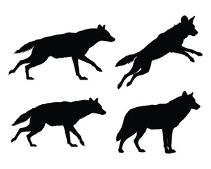 Four Wild Canine Silhouette Set in Action and Stillness, A set of four black silhouette illustrations of canines, possibly African wild dogs or wolves, in dynamic poses.