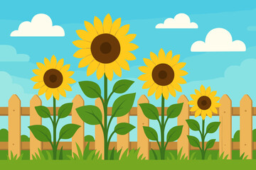 Sunflowers Garden Wooden Fence Blue Sky Clouds. Vibrant Sunflower Field, Green Grass, Summer Nature Landscape, Rural Countryside, Blooming Flowers, Outdoor Scene, Vector Illustration