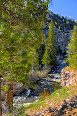 Traveling through the Sangre de Cristo Mountains between Las Vegas and Taos, New Mexico, flowing rivers, snow capped mountains, pine trees, beautiful scenery.
